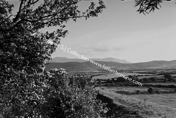 GALTEES FROM TIPPERARY